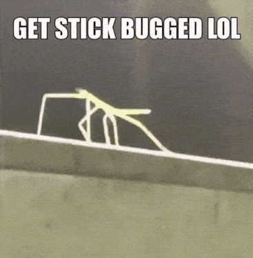 Stickbugged GIF - Stickbugged GIFs
