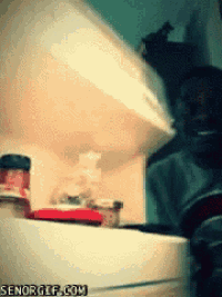 a gif of a cat looking into a refrigerator with senorgif.com written below it