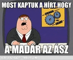Madarazasz Birdistheworld Meme