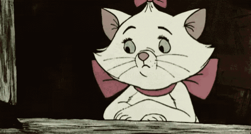 a white cat with a pink bow on its neck looks out of a window