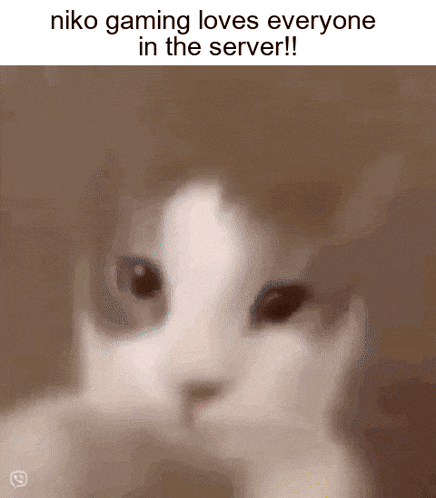niko gaming loves everyone in the server !!