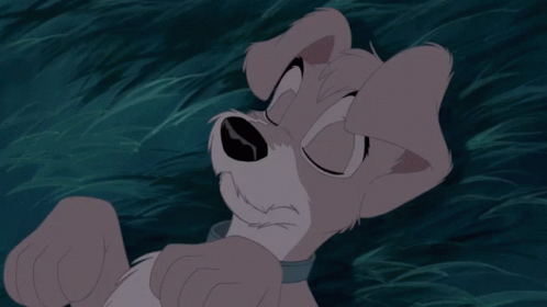 Lady And The Tramp2 Scamp GIF - Lady And The Tramp2 Scamp Dizzy GIFs