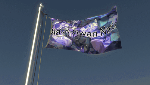Blackswan Nation Black Swan GIF - Blackswan Nation Black Swan Hsr GIFs