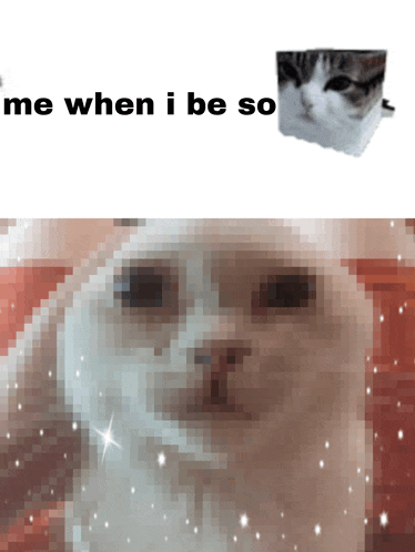a pixelated image of a cat with the words me when i be so below it