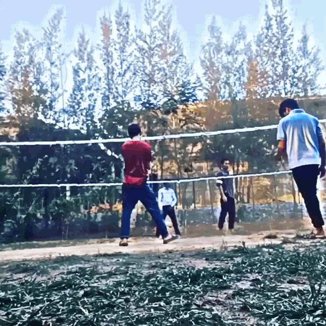 Playing Volleyball Boll Hooo With Friends Naaa GIF - Playing Volleyball Boll Hooo With Friends Naaa Sport GIFs