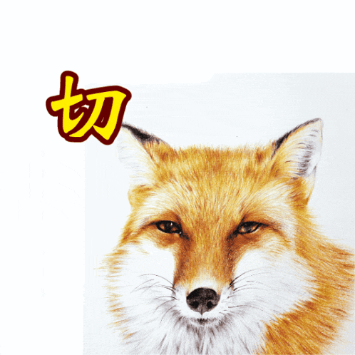a drawing of a fox with chinese writing on the bottom