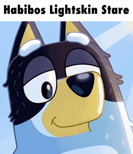 a picture of a cartoon dog with the words " habibos lightskin stare " on the bottom