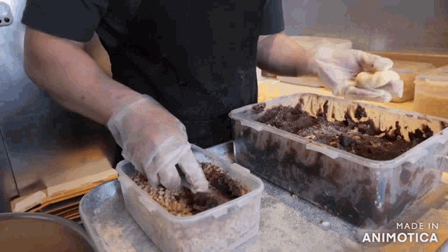 a person is preparing food in plastic containers and the words made in animatica are on the bottom of the screen