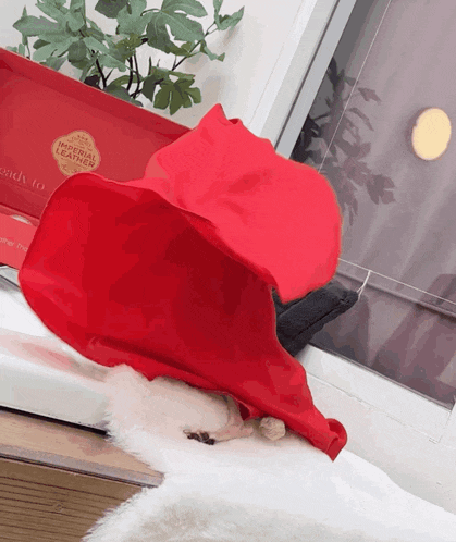 a red item that says imperial leather is laying on a window sill