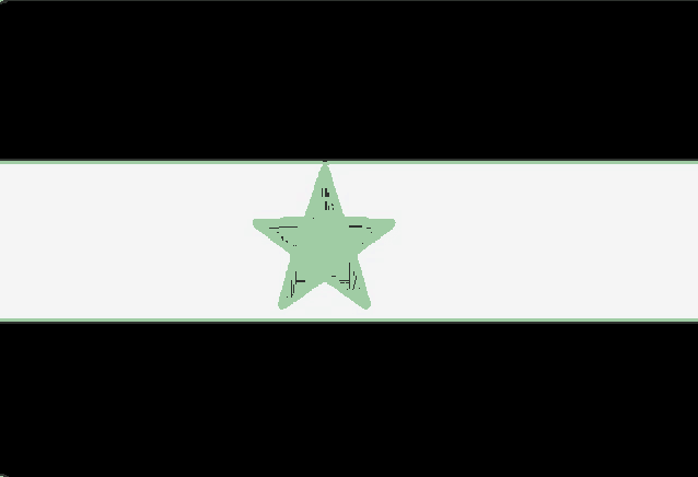 a green star is on a black and white background