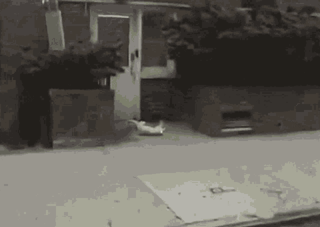 a yellow bag is laying on the sidewalk in front of a house