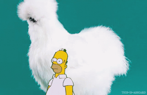 Homer Fluffy GIF - Homer Fluffy Silkie GIFs