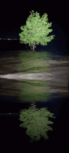 Floating Lone GIF - Floating Lone Tree GIFs