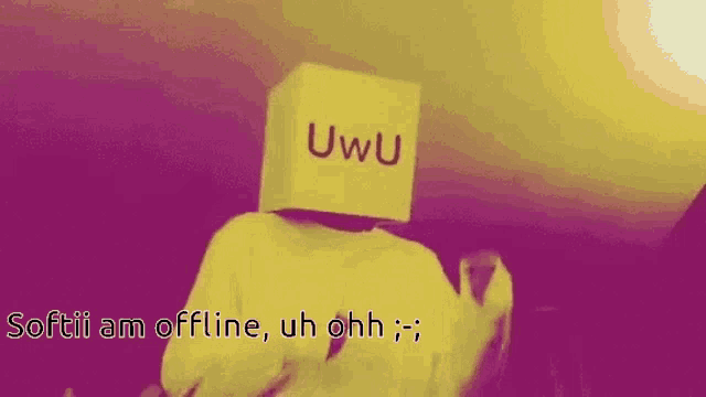 a person with a box on their head that says " uwu "