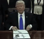 Covfefe Trump GIF - Covfefe Trump Typo GIFs