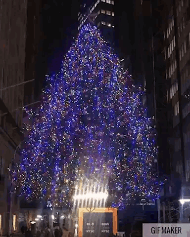 a large christmas tree with blue lights is lit up in a city