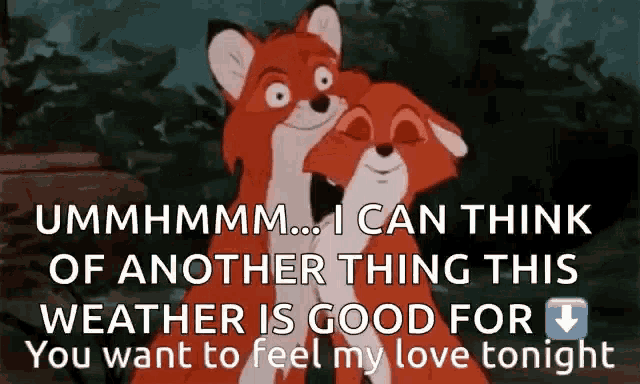 a couple of foxes hugging each other with a caption that says ummhmm i can think of another thing this weather is good