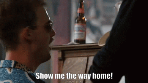 Show Me The Way Home Goose GIF - Show Me The Way Home Show Me The Way Goose GIFs