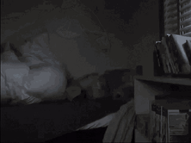 a dark room with a bed and a shelf with books on it