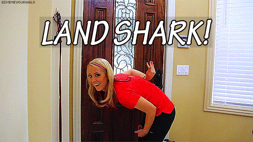 Land Shark GIF - Jenna Marbles You Tube Land Shark GIFs
