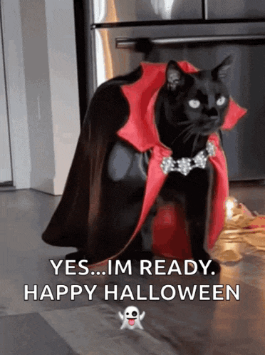 a black cat in a vampire costume says " yes ... im ready . happy halloween "