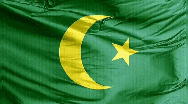 a green flag with a yellow crescent and star on it