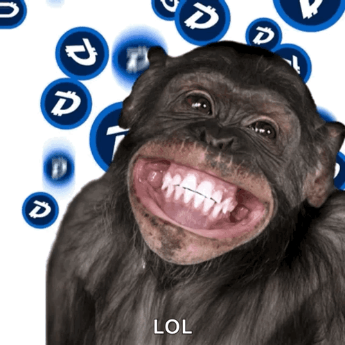 Random Phone Call Monkey Meme GIF