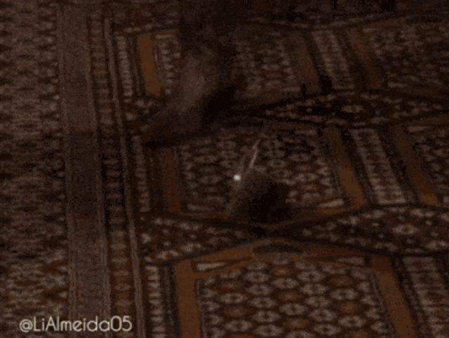 a woman is dancing in a living room with the hashtag lialmeida05 on the bottom