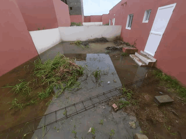 a flooded backyard with a white door and steps