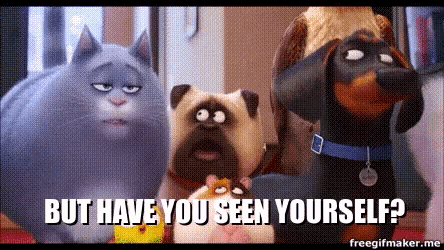 a picture of a cat and two dogs with the caption but have you seen yourself ..