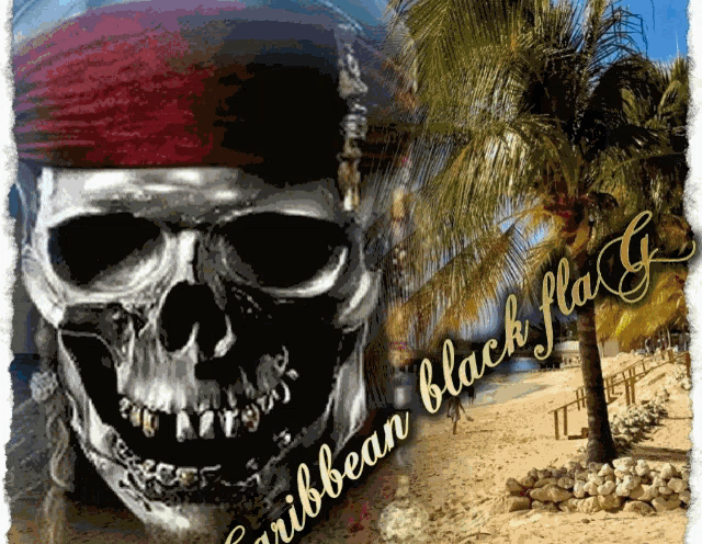 a picture of a pirate skull with the words caribbean black flag written below it
