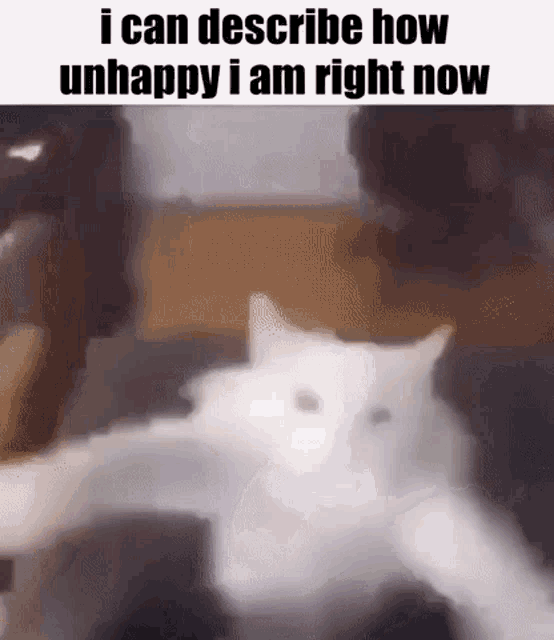 I Cannot Describe How Happy I Am GIF