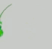 a cartoon of a grasshopper with a poop face .