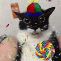 a cat wearing a colorful hat is holding a lollipop