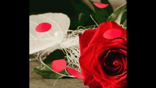 Rose Flower GIF - Rose Flower I Will Always Love You GIFs