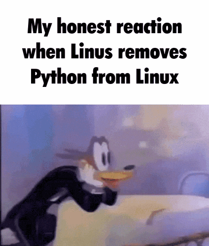 Python Linus GIF