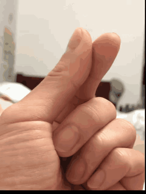 a close up of a person 's thumb and index finger