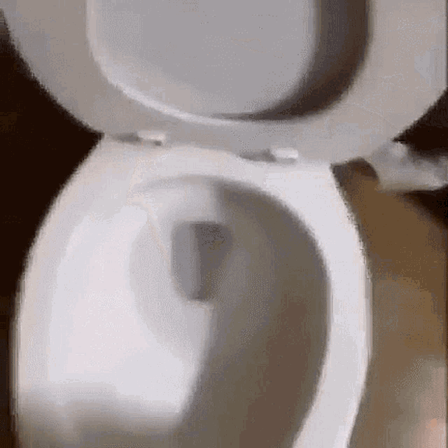 a close up of a toilet with the lid up and the seat down .