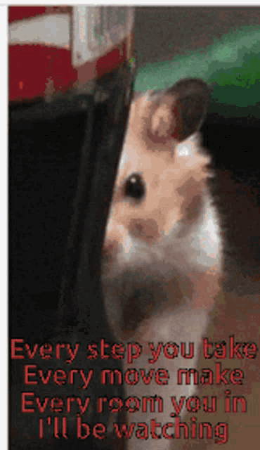Creepy Hamster GIF