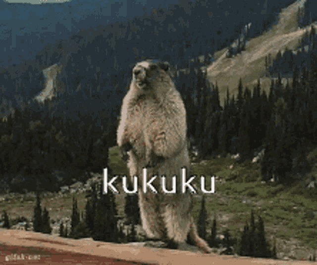 a ground squirrel is standing on its hind legs with kukuku written in the background