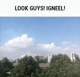 a picture of a city skyline with the words look guys igneel below it