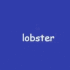 a blurred image of a lobster on a white plate