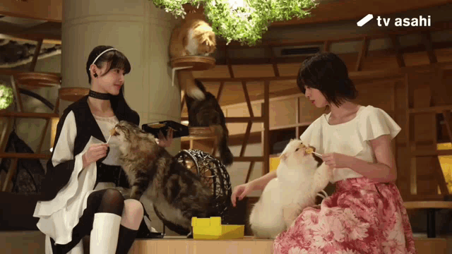 two women petting a cat and a dog in front of a tv asahi logo