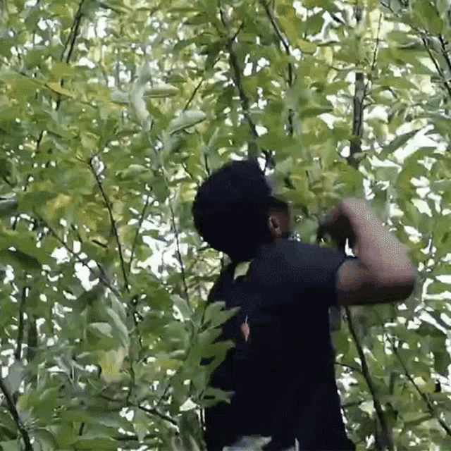Climbing On A Tree Rickey GIF - Climbing On A Tree Rickey Trying To Reach Something GIFs
