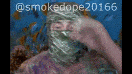 Smokedope2016 GIF - Smokedope2016 GIFs