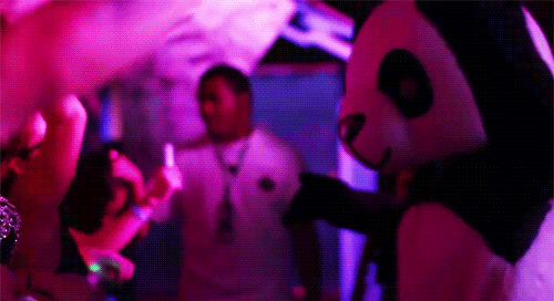 Party GIF - Hipster Panda Party GIFs