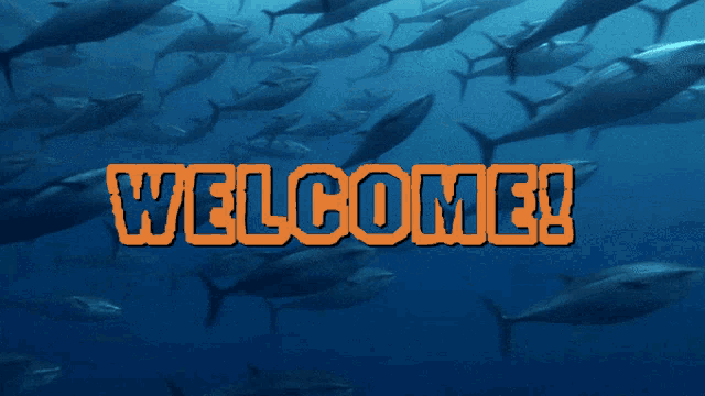 a group of fish are swimming in the ocean with the words welcome
