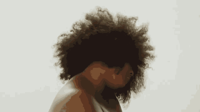 a naked woman with a large afro is standing in the desert .