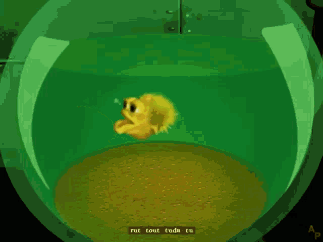 Fish Dont Pee On The Floor GIF - Fish Dont Pee On The Floor GIFs