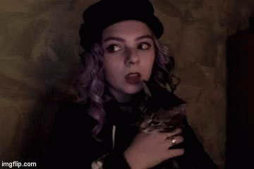 Tonks What Cat GIF - Tonks What Cat This Cat GIFs